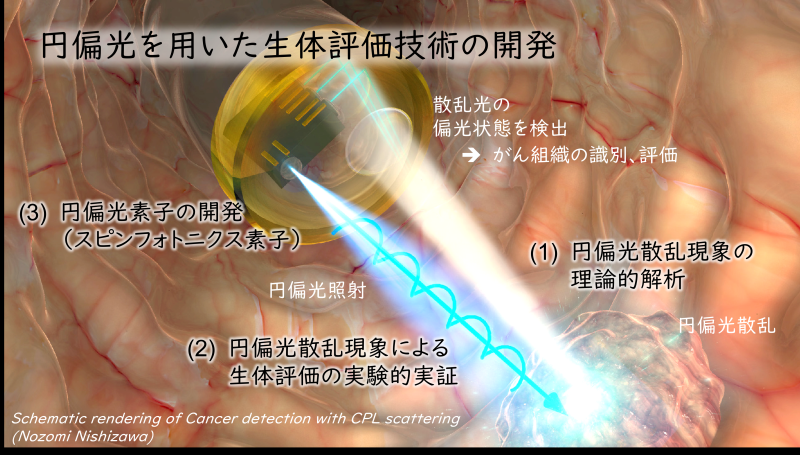 Nishizawa's Research Nishizawa's Research
